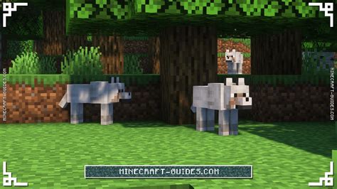 Image result for Minecraft Stacy's Wolves Mod