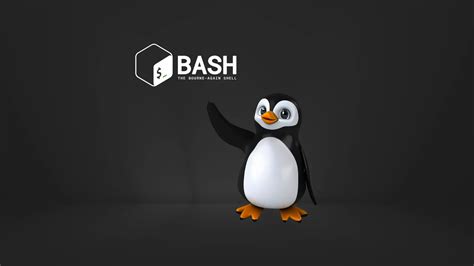 Image result for Linux Shell