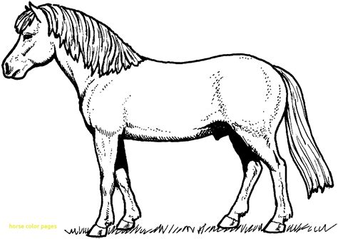 Real Horse Coloring Pages at GetDrawings | Free download