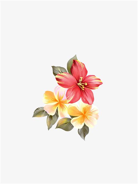 手绘的花朵装饰图案-快图网-免费PNG图片免抠PNG高清背景素材库kuaipng.com