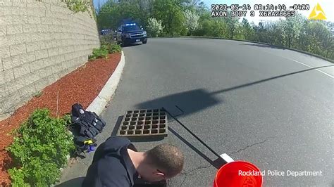 Watch Maine officers rescue ducklings that fell down storm drain ...