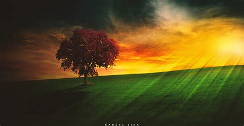 Image result for Amazing Study Tips