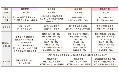 Image result for Algorithm Designs Instructions Paper