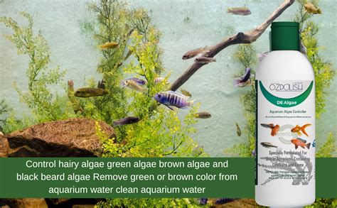 OZpolish De Algae by Aquatic Habitat | Aquarium Algae Remover; Liquid ...