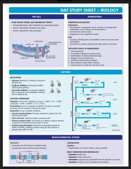 Image result for Dat Study Guide