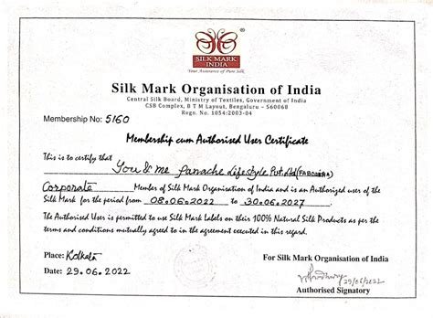 "WARLI ART ON A FINE TUSSAR PURPLE CANVAS" PATTACHITRA SAREE – Fabodisha