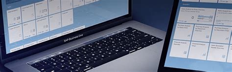 Image result for SAP B1 Web Client