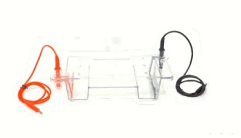 GelGo Mini Plus, Horizontal Immersed Gel Electrophoresis Unit ...