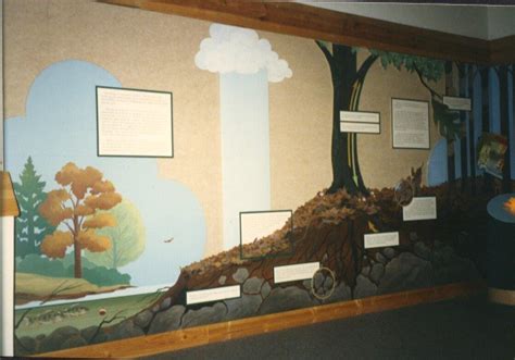 Exploding Tree Exhibit 的图像结果