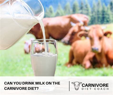 Can You Drink Milk On The Carnivore Diet? - The Carnivore Diet Coach