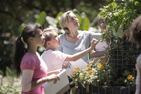 Image result for Outdoor Learning