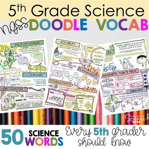 Image result for Basic 5th Grade Science