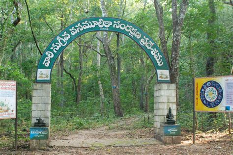 Where To Stay in Maredumilli - 9553537666