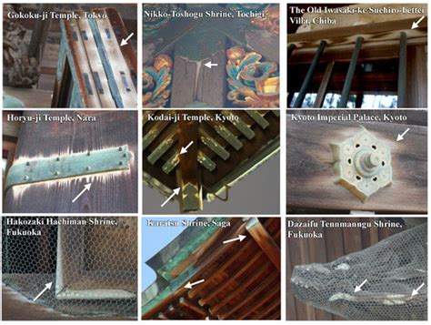 Study of the Effects of Cu/Cu-Zn Alloy Components Adjacent to Wood in ...