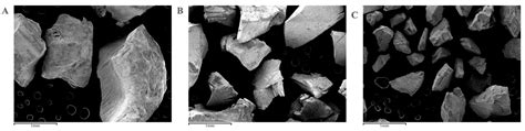 Autologous Tooth Granulometry and Specific Surface Area with Three ...