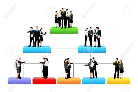 Organization Structure Clip Art 的图像结果