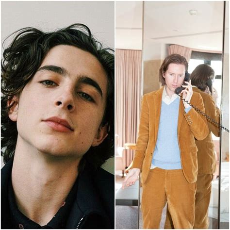 Timothée Chalamet is starring in Wes Anderson’s next movie | Dazed