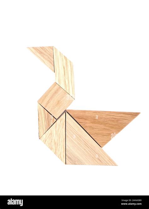 Image result for Tangram Puzzle Solving