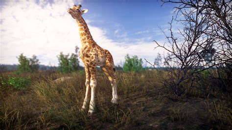 Lightning Fast Game 的图像结果