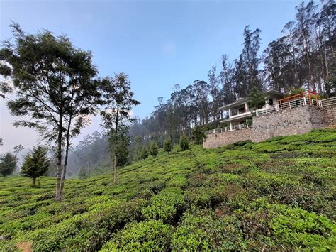 A Rainy Visit to Kotagiri Hills ...