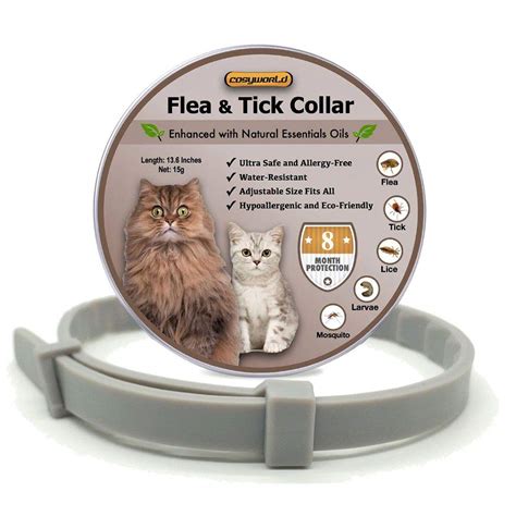 How To Use Cat Flea Collar at Phyllis Spain blog