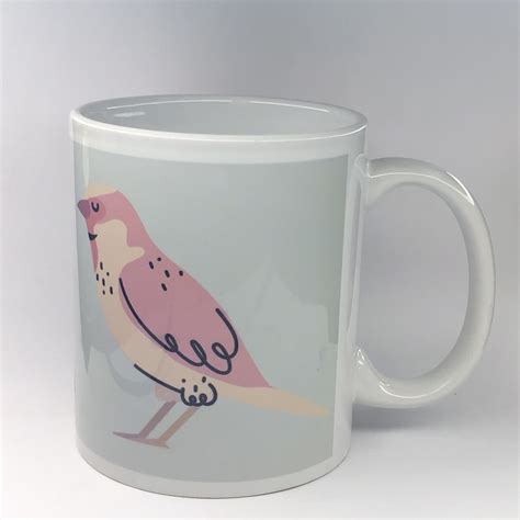 MUG-(birds should not be caged) - New Delhi Nature Society