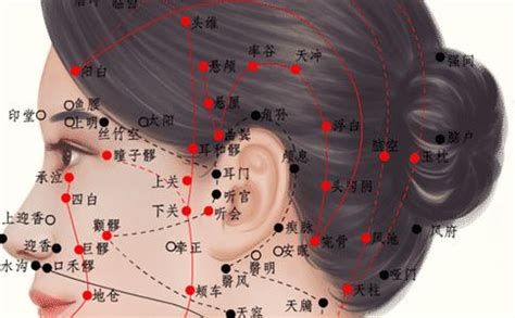 Prime Number Code Python 的图像结果