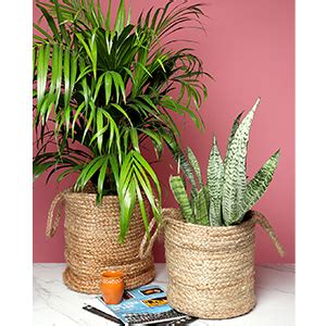 Habere India-All the Cultures Fabricating India Jute Baskets Online ...