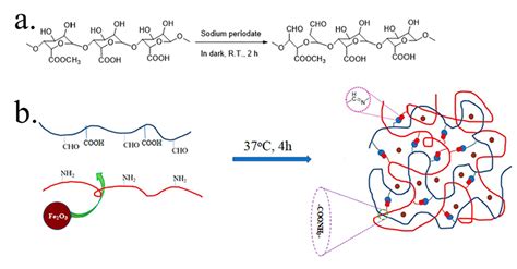 Pectin Based Hydrogels for Drug Delivery Applications: A Mini Review
