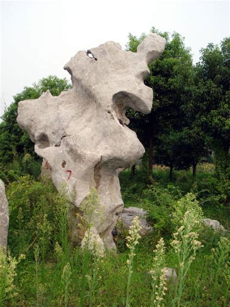 太湖石 - - 景观石供应 - 园林资材网