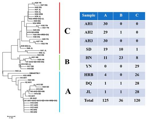 Mitochondrial COI Sequence Variations within and among Geographic ...
