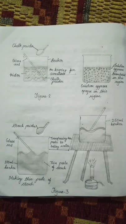 9th Science Experiments 的图像结果