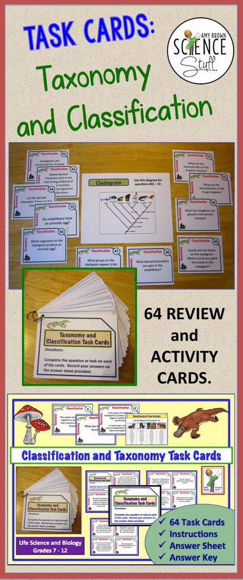 Image result for Detailed Classification Key