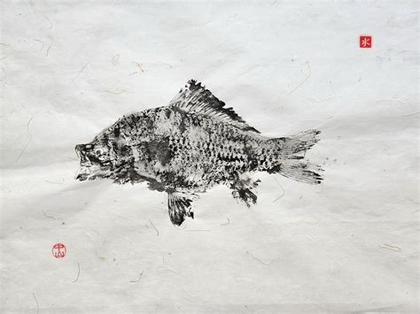 Gyotaku - printing fish - Lucian Muntean