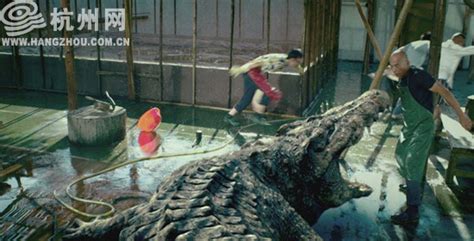 《百万巨鳄》：中国特效惊悚电影寻求突破（图+视频） - 杭网原创 - 杭州网