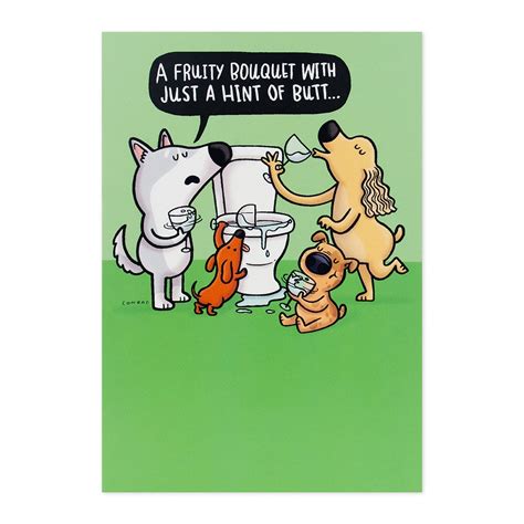 Buy Hallmark Shoebox Birthday Card - Toilet Water - MyDeal Australia