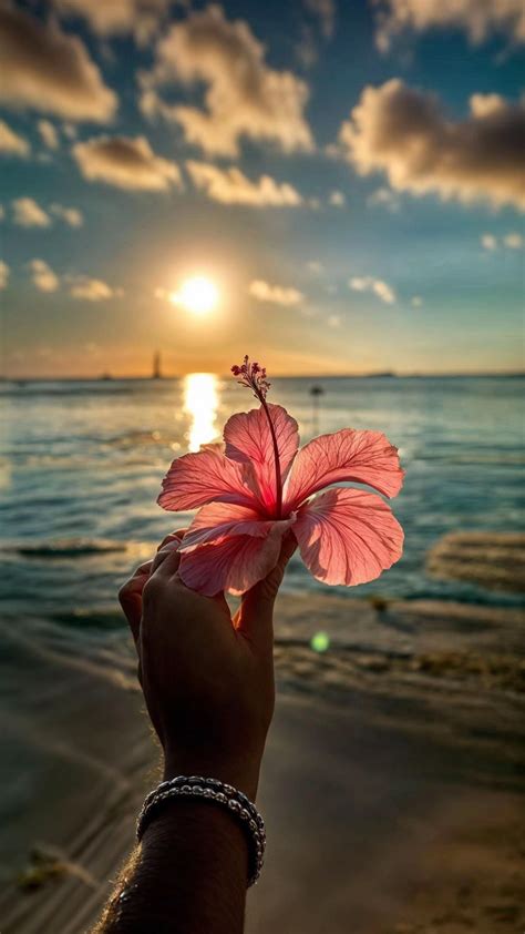 Épinglé par ⋆.˚ Cherry ˚.⋆ sur I tuoi Pin | Fond d'ecran pastel, Photographie de paysage, Fond d ...