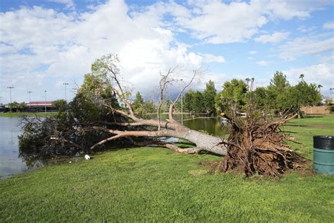 After Hurricane Priscilla's remnants, Arizona is expected to dry out