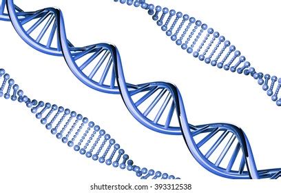 Image result for DNA and Computer Code