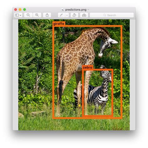Yolo Real-Time Object Detection Using Python 的图像结果