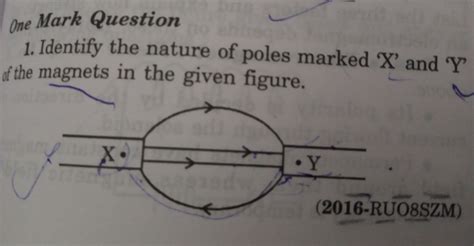 identify the nature of poles marked 'X' and 'Y' of the magnets in the ...