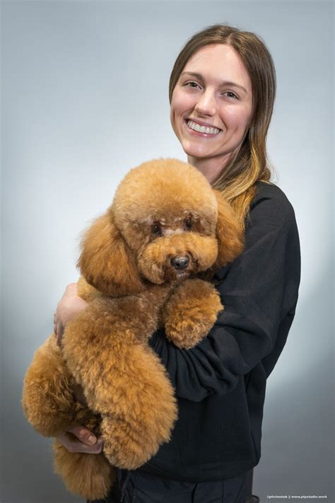 Dog Grooming Dumbo Brooklyn at Verna Vanwinkle blog