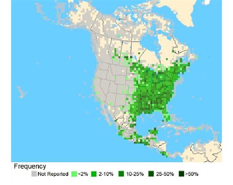 Image result for Hummingbird Distribution Map