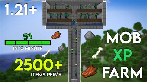 Image result for Mob Grind XP Java