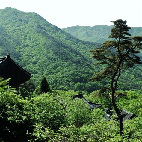 JIRISAN NATIONAL PARK (2025) All You Need to Know BEFORE You Go (with ...