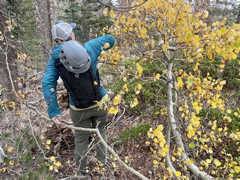 A Style Climbing Backpack 的图像结果