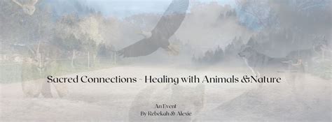 Sacred Connections - Healing with Animals & Nature, Ħaż-Żebbuġ, Malta ...