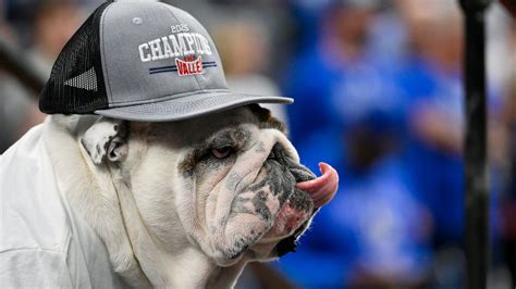 'March Madness needs Griff': Drake fans want changes to mascot rule