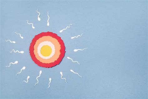 Egg White Discharge : Shades of Fertility Navigating Variations