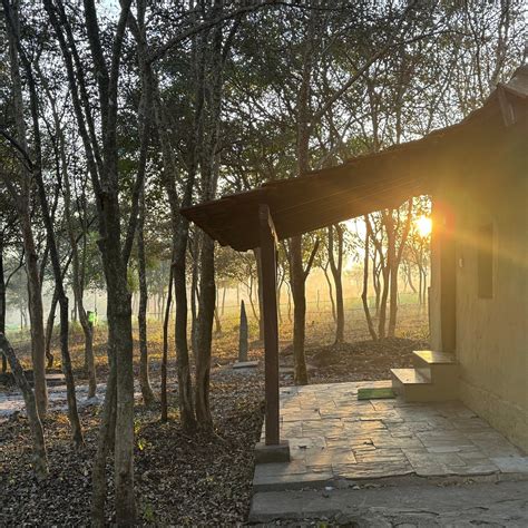 THE WINDFLOWER JUNGLE RESORTS AND SPA (Bandipur, Karnataka) - Lodge ...